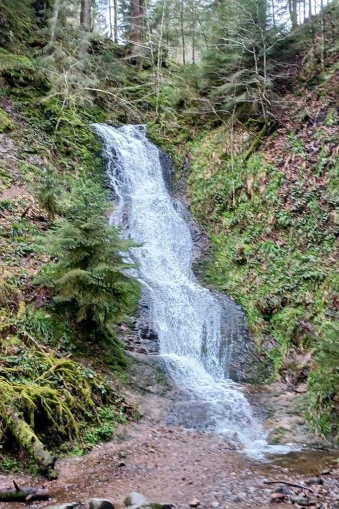 Charmant Gite, Au Calme, Avec Vue Imprenable Sur La Nature Environnante Deycimont Exterior foto
