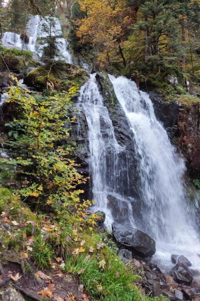 Charmant Gite, Au Calme, Avec Vue Imprenable Sur La Nature Environnante Deycimont Exterior foto